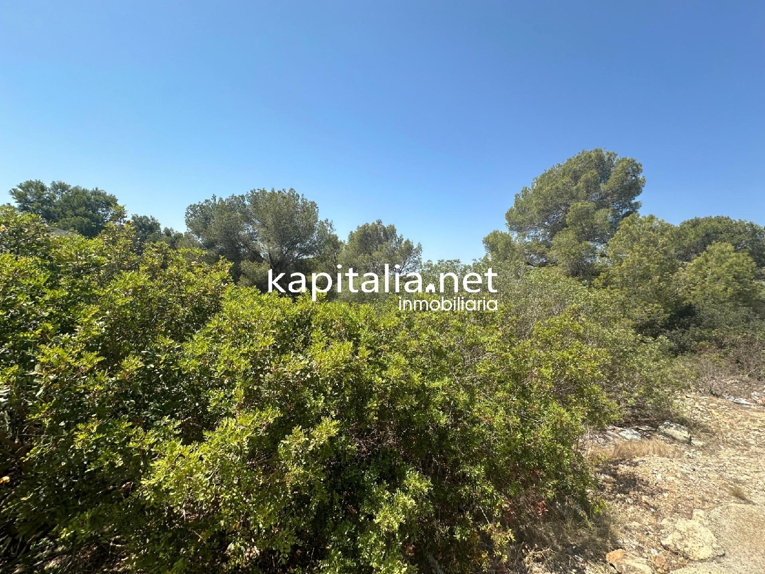  till salu tomt Monte Júcar Ribera Alta 5