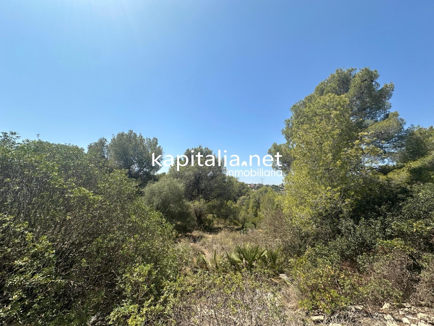 till salu tomt Monte Júcar Ribera Alta 2
