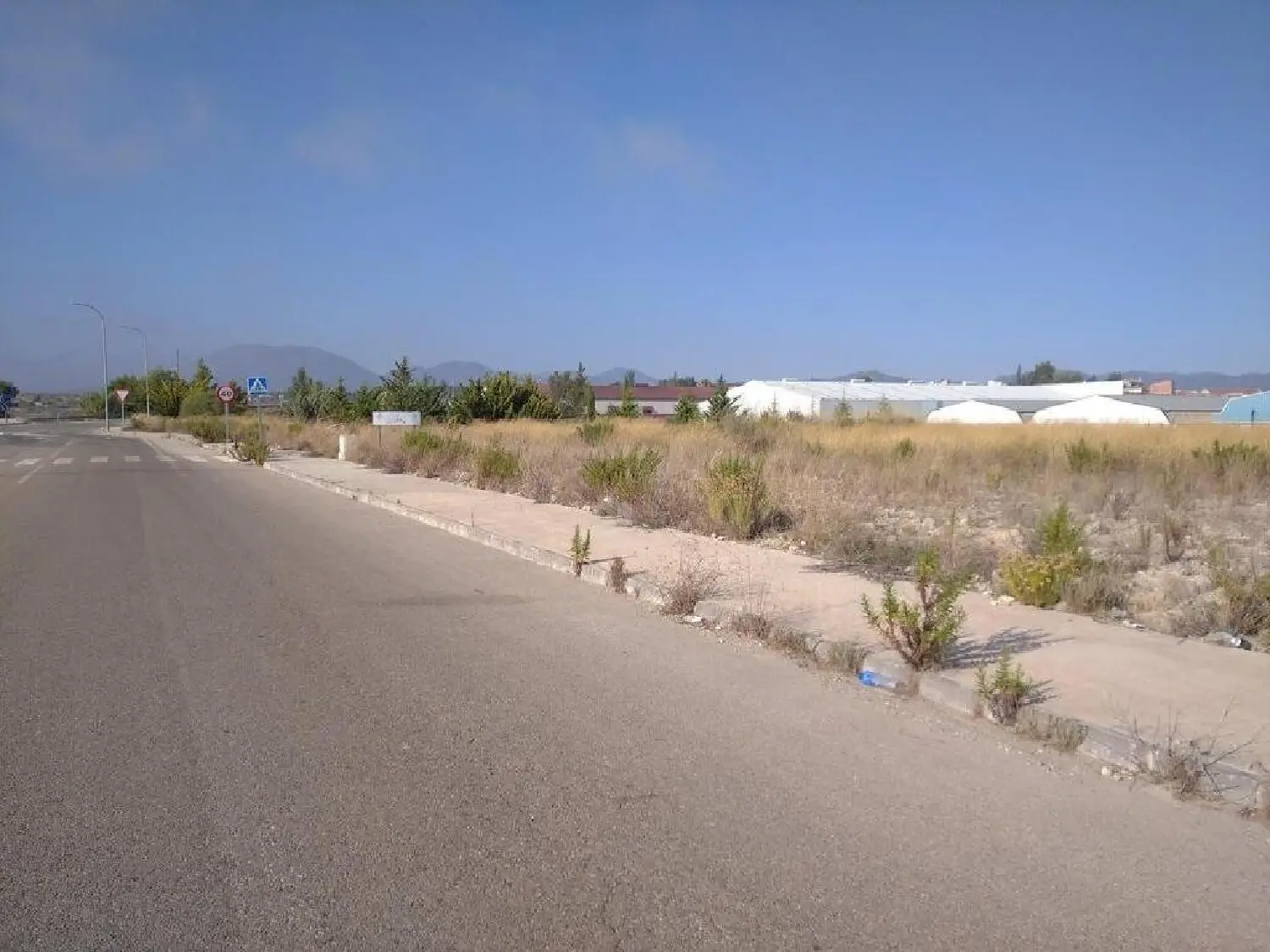  for sale plot El Pino Vega Media Del Segura 1