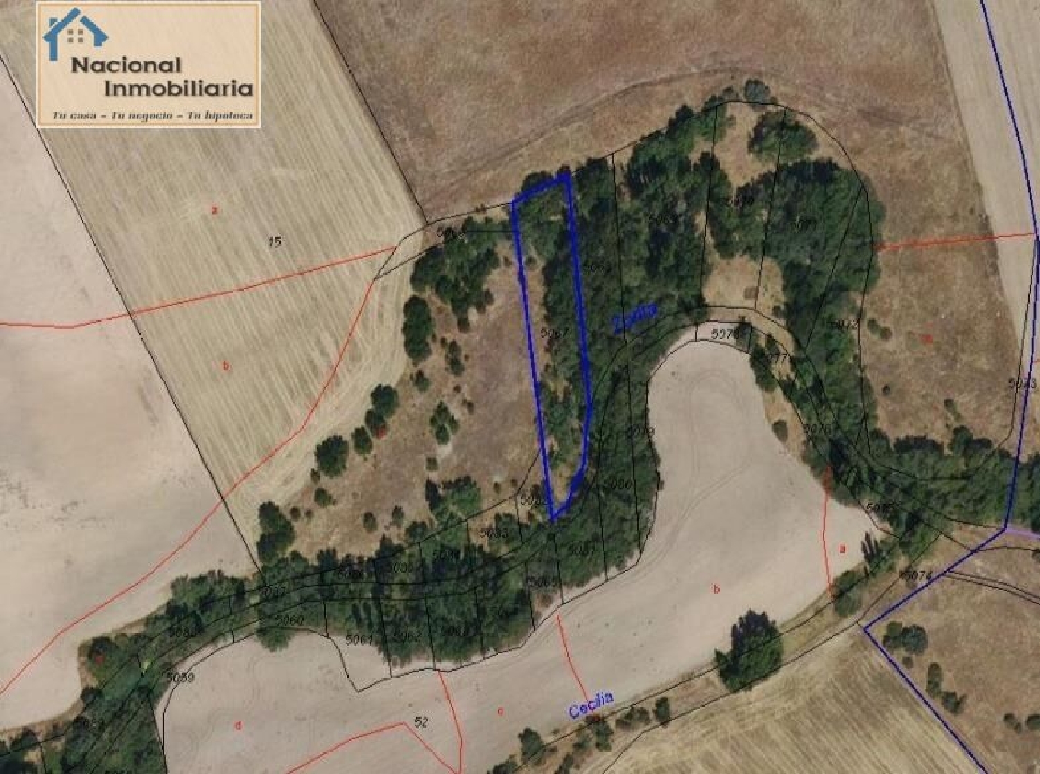  for sale plot Monterrubio Campiña Segoviana 1