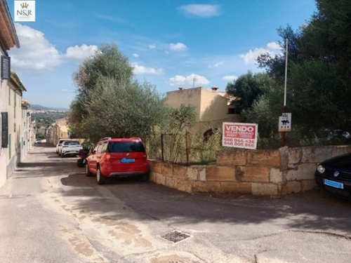 Moscari Raiguer tomt foto 6252119