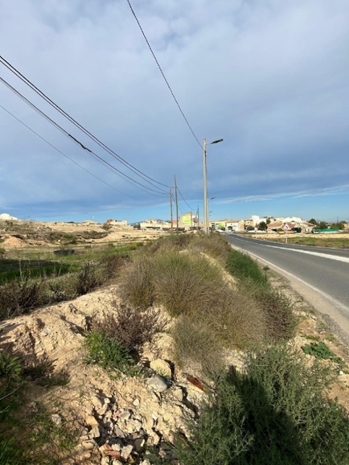 San Lorenzo Huerta De Murcia tomt foto 6229537
