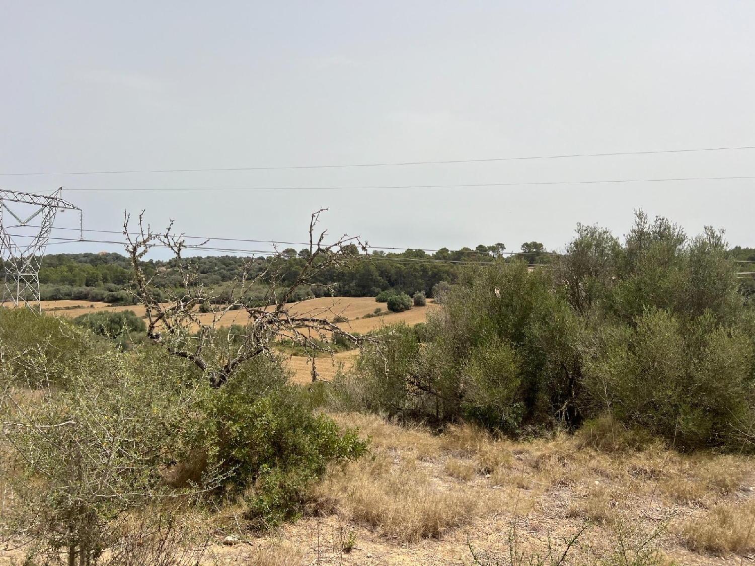  till salu tomt Muro Nord 8