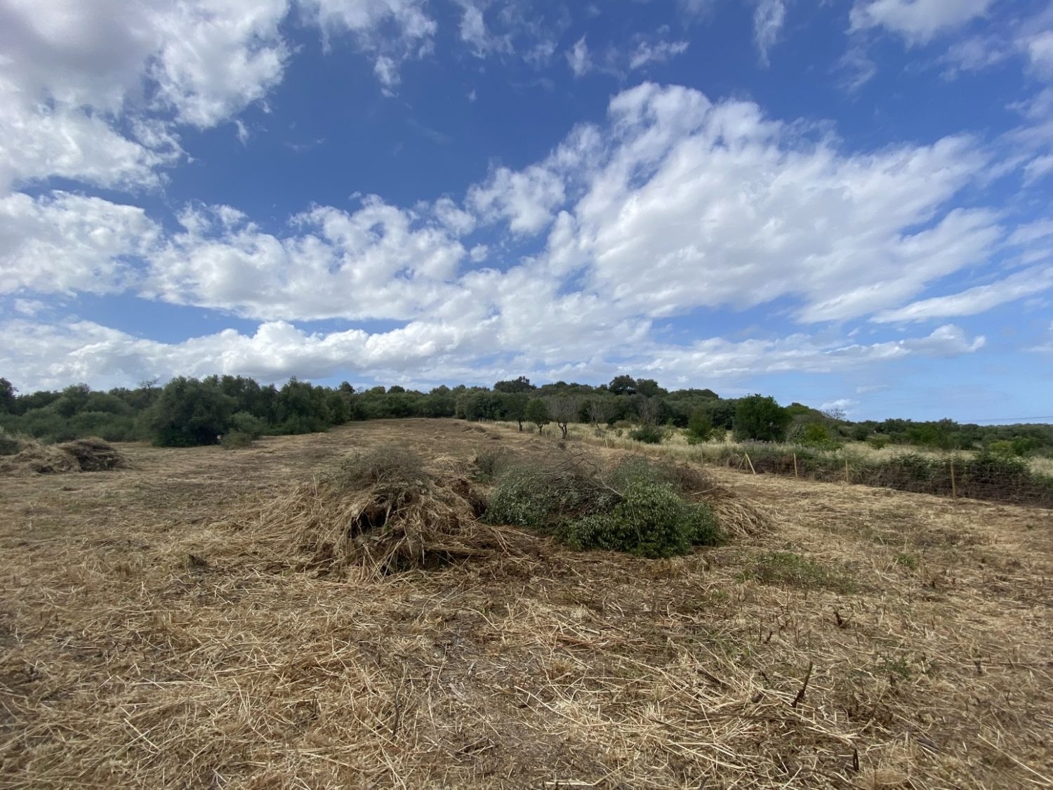  for sale plot Muro Nord 4