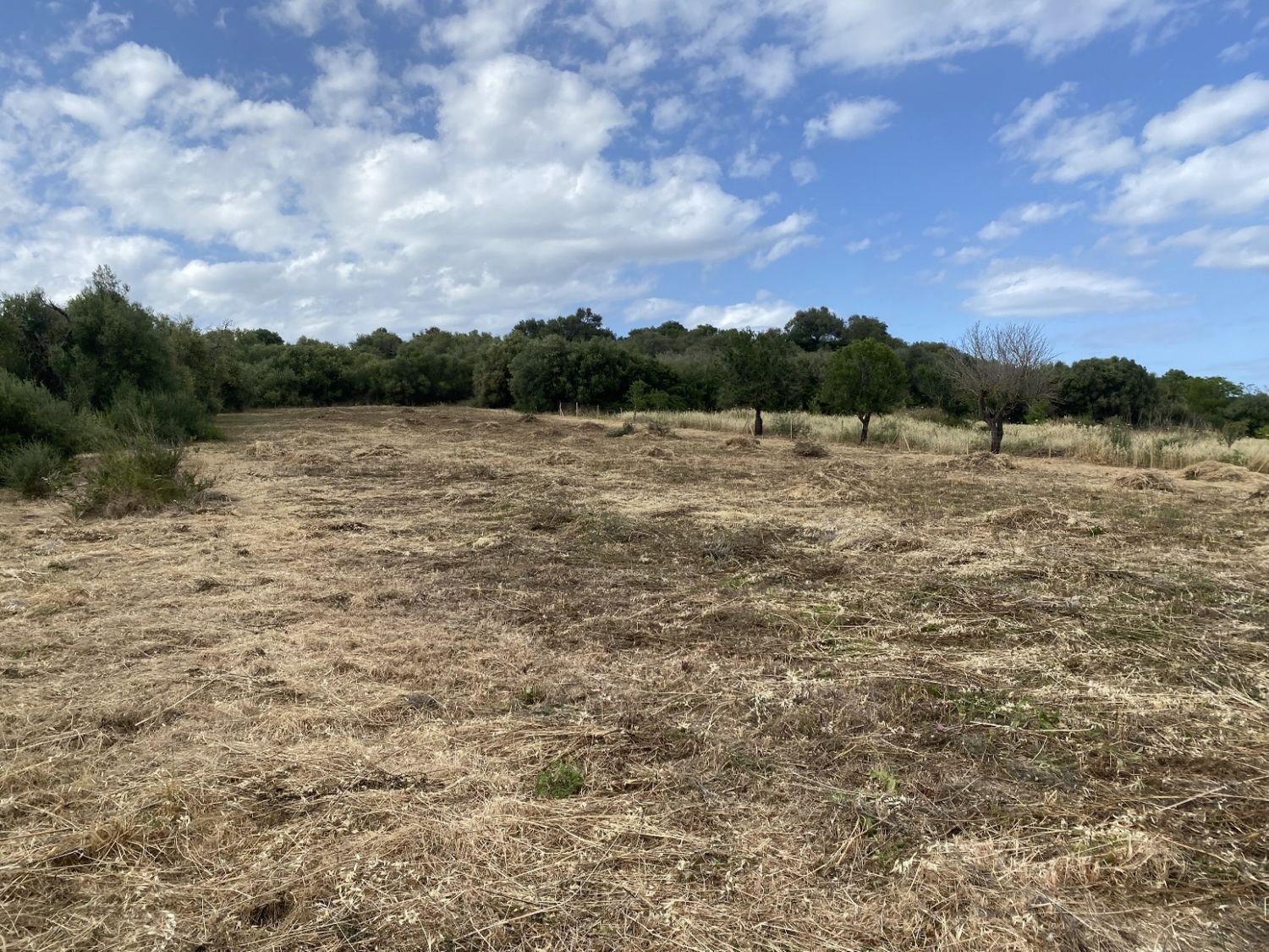  for sale plot Muro Nord 2