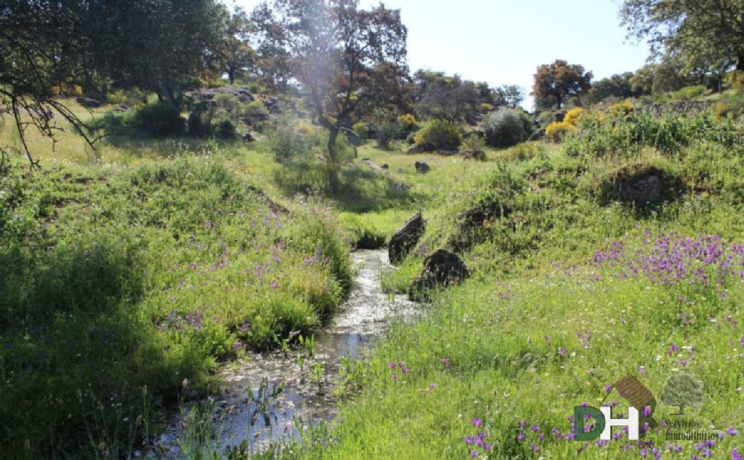  till salu tomt Navalmoral De La Mata Campo Arañuelo 1