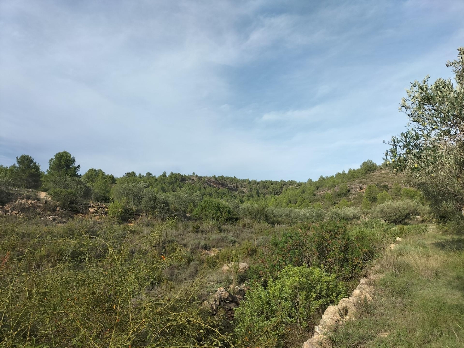  till salu tomt Navarrés Canal De Navarrés 5