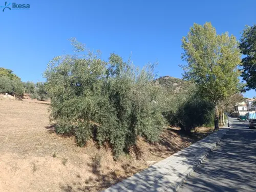 Nívar Vega De Granada tomt foto 6209354