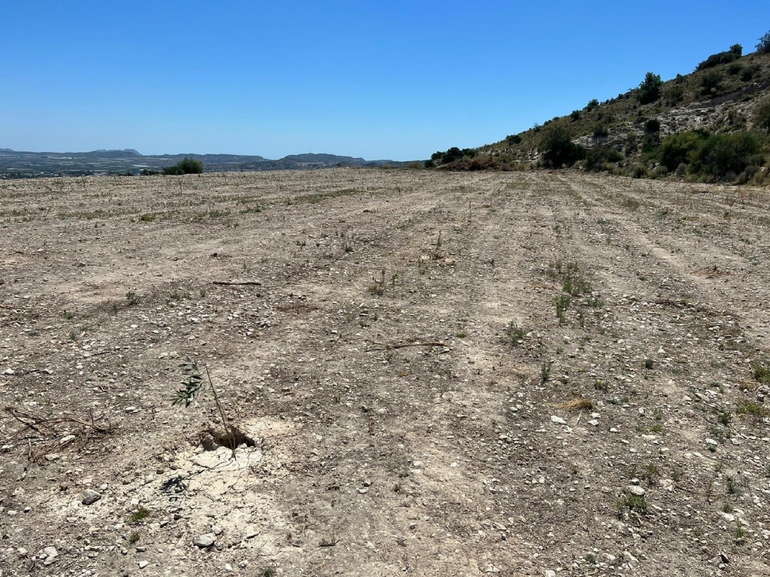 till salu tomt Nonaspe Bajo Aragón-Caspe 3