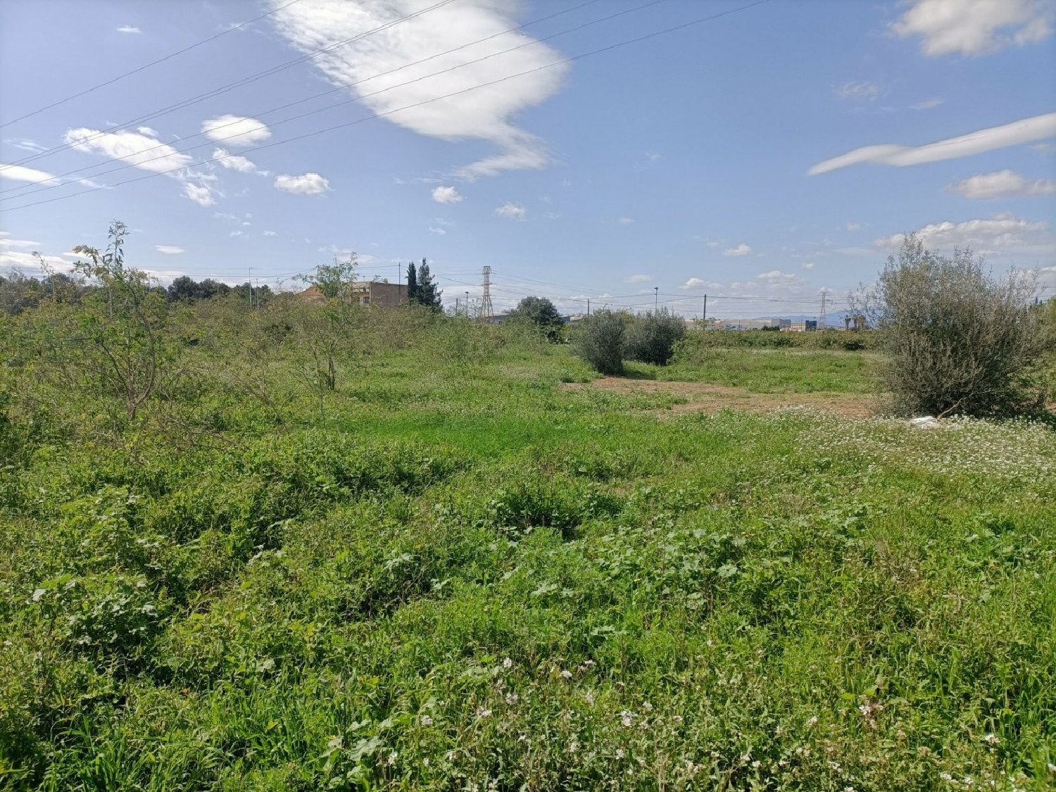 till salu tomt Nonduermas Huerta De Murcia 3
