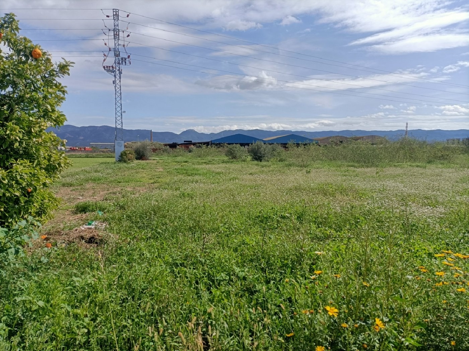  till salu tomt Nonduermas Huerta De Murcia 7