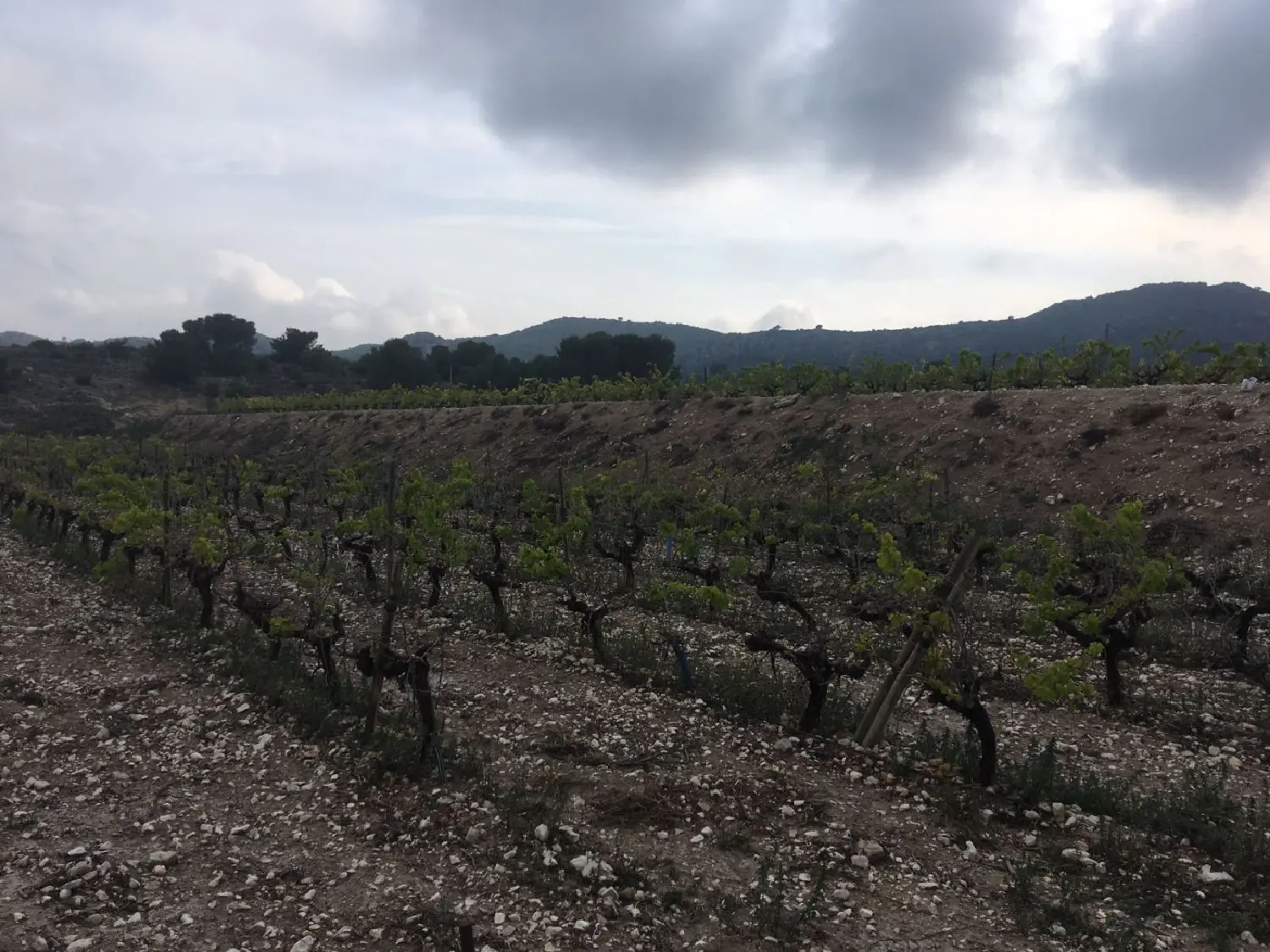  till salu tomt La Estacion Vinalopó Mitjà 1
