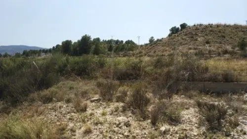 La Estacion Vinalopó Mitjà tomt foto 6184015