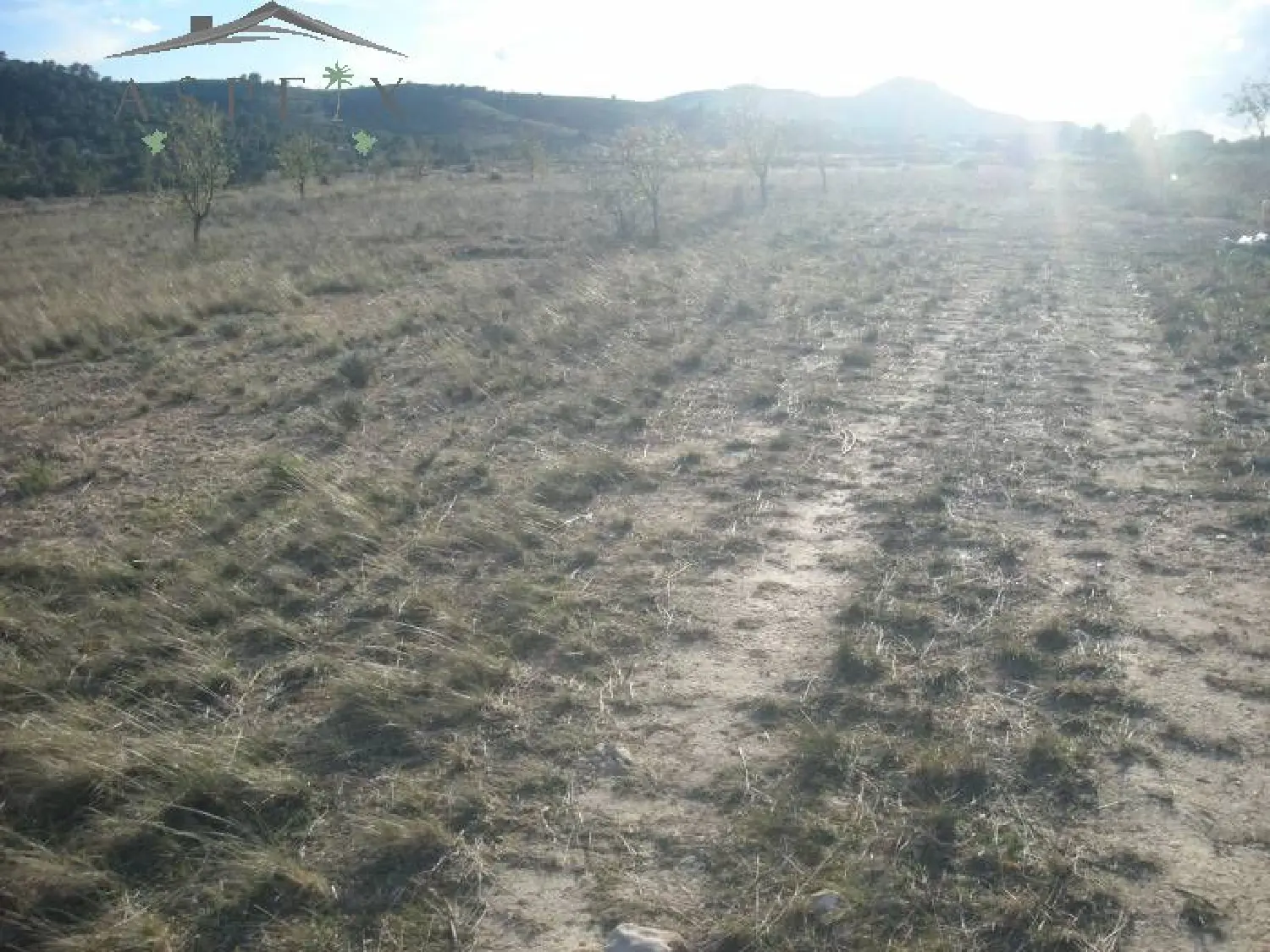  till salu tomt La Estacion Vinalopó Mitjà 4