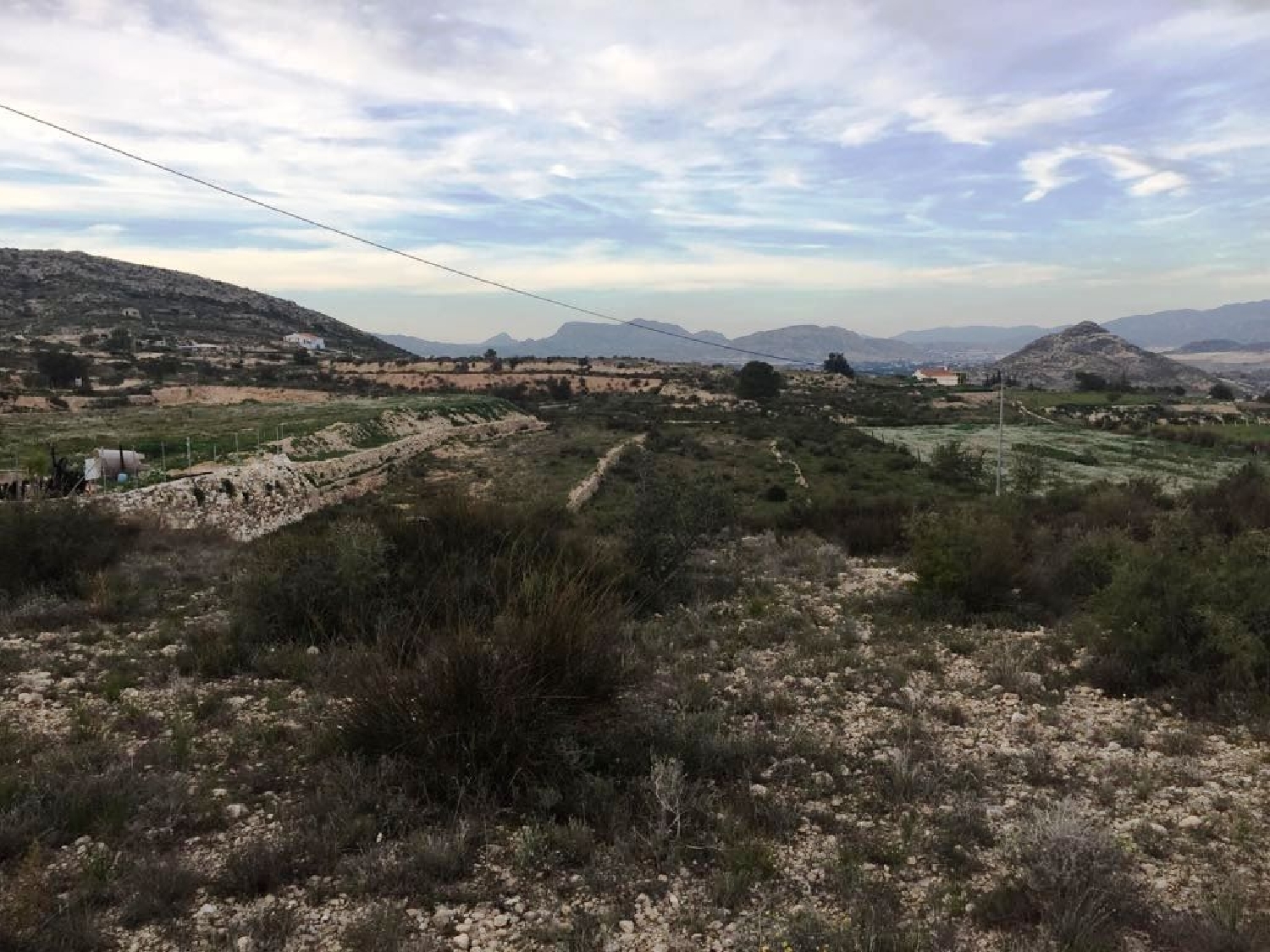for sale plot Els Montesinos Vinalopó Mitjà 2