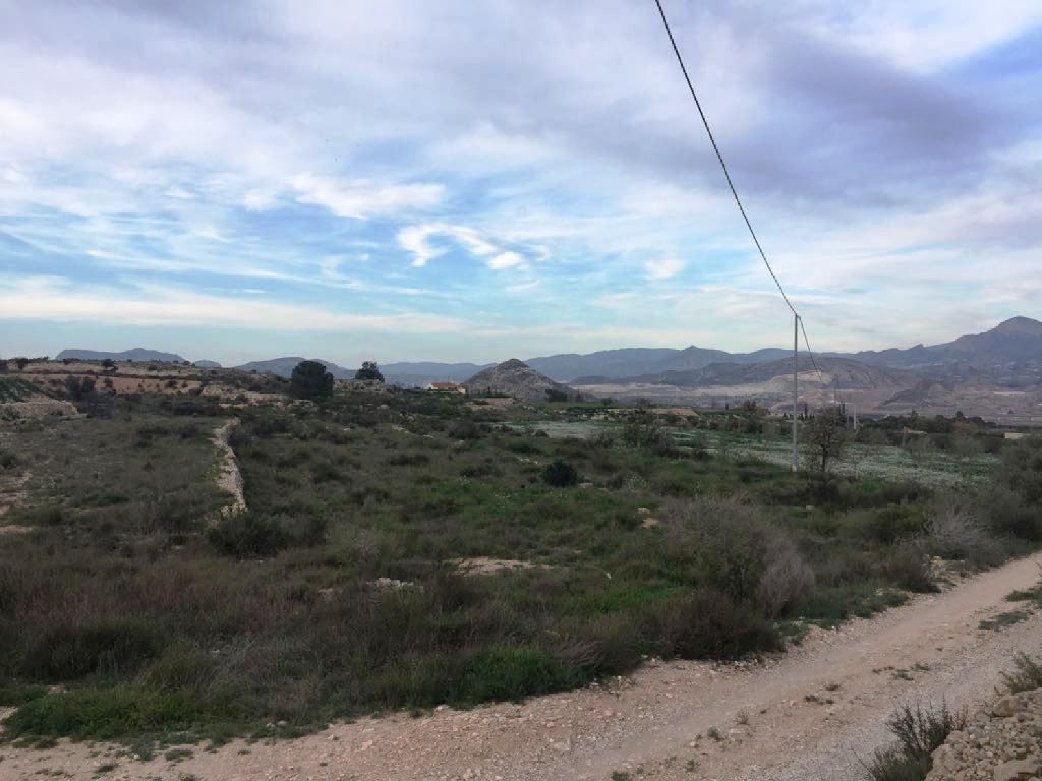 for sale plot Els Montesinos Vinalopó Mitjà 3