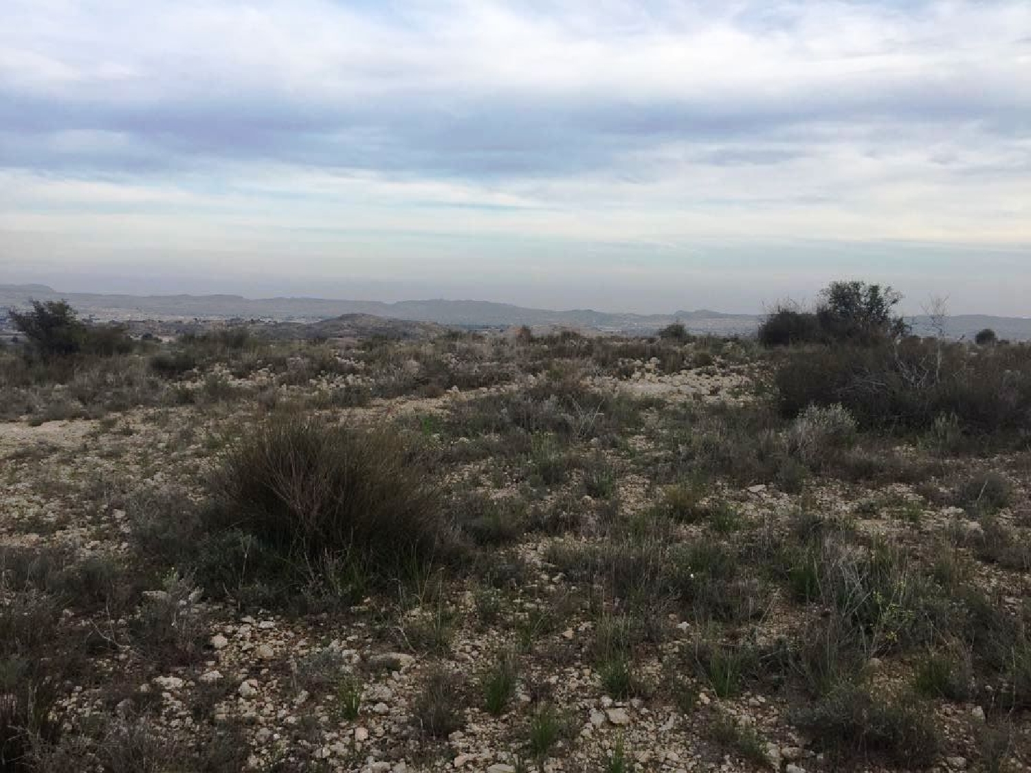  for sale plot Els Montesinos Vinalopó Mitjà 5