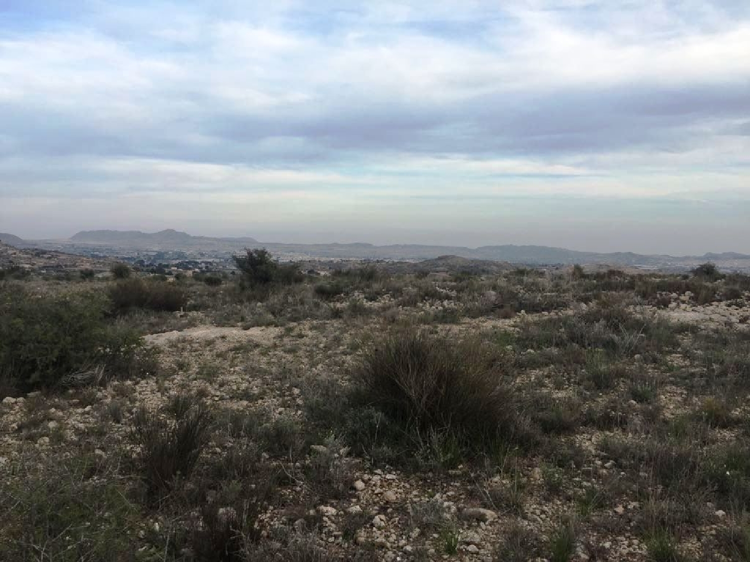  for sale plot Els Montesinos Vinalopó Mitjà 4