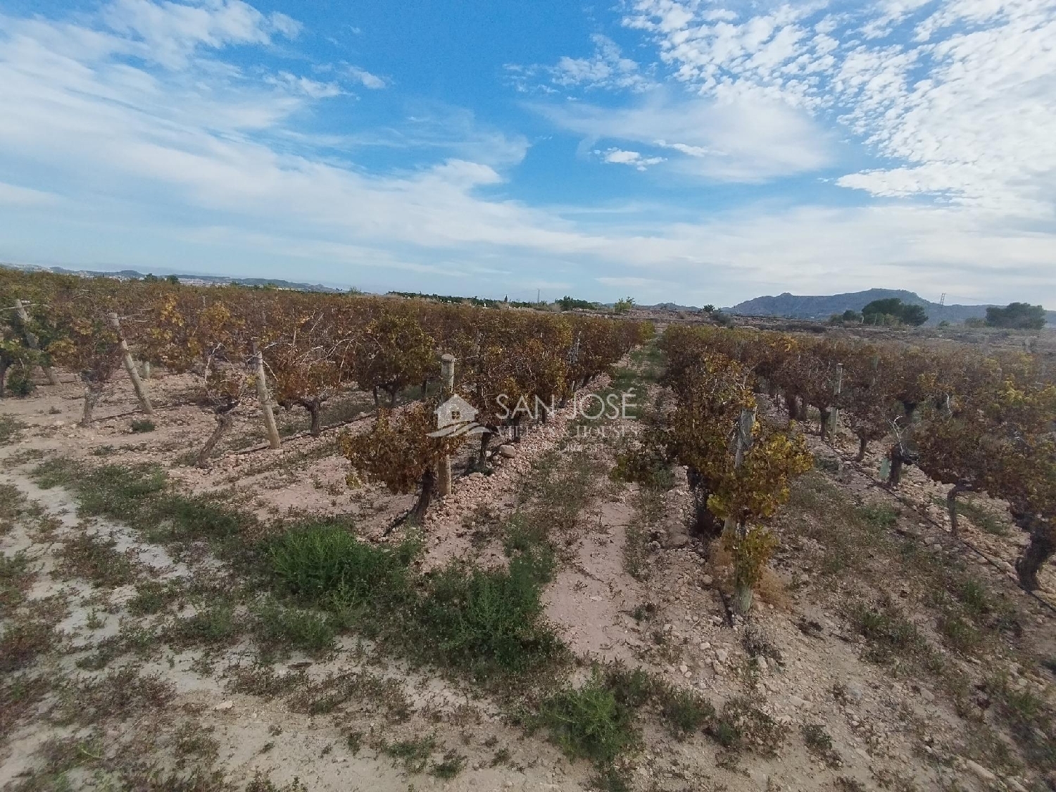 till salu tomt Novelda Vinalopó Mitjà 3