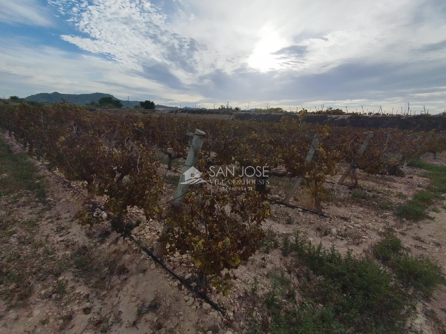 till salu tomt Novelda Vinalopó Mitjà 4