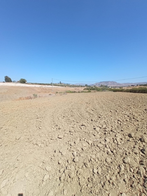 Sierra Llana Valle Del Guadalhorce tomt foto 6235872