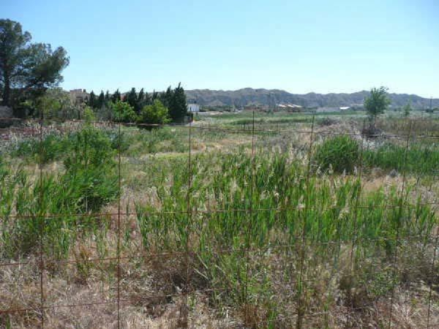  till salu tomt Nuez De Ebro D.C. Zaragoza 1