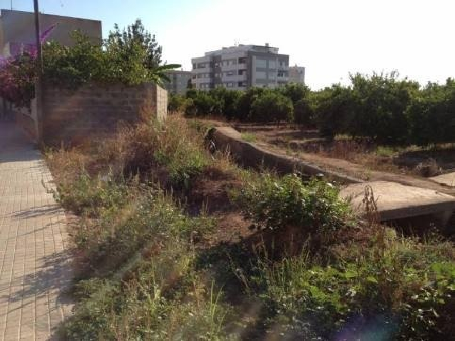  till salu tomt Nules Plana Baixa 1