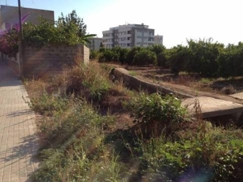 Nules Plana Baixa tomt foto 6250292