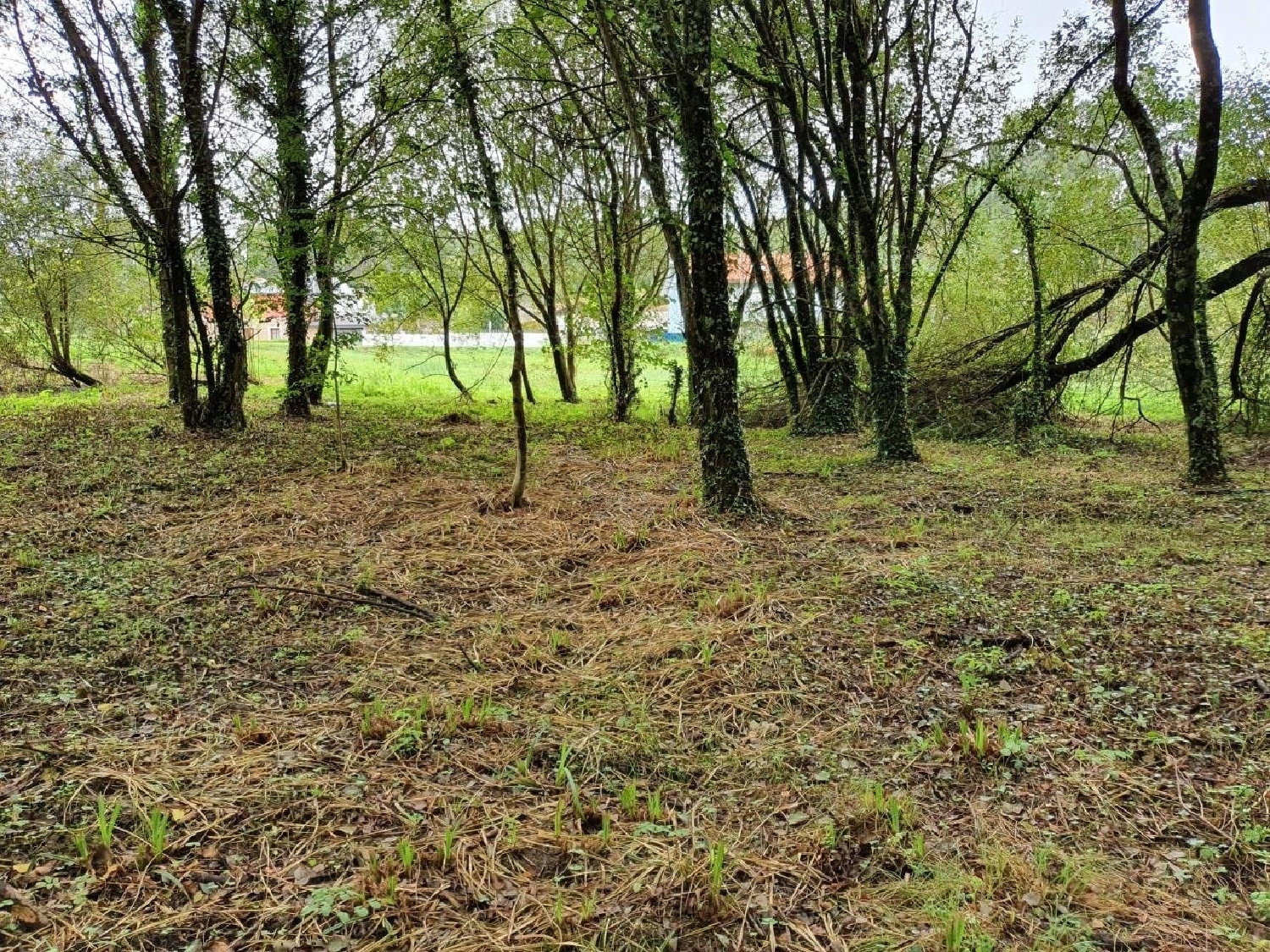  for sale plot Narón Ferrol 6