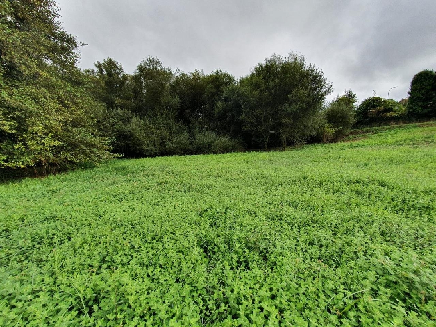 for sale plot Narón Ferrol 3