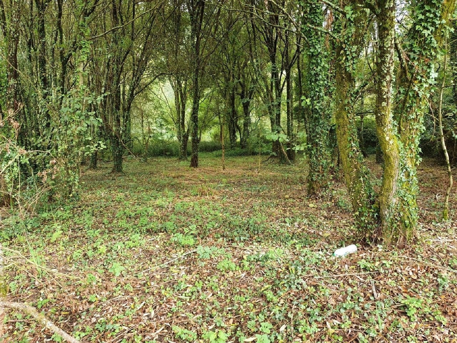  for sale plot Narón Ferrol 5