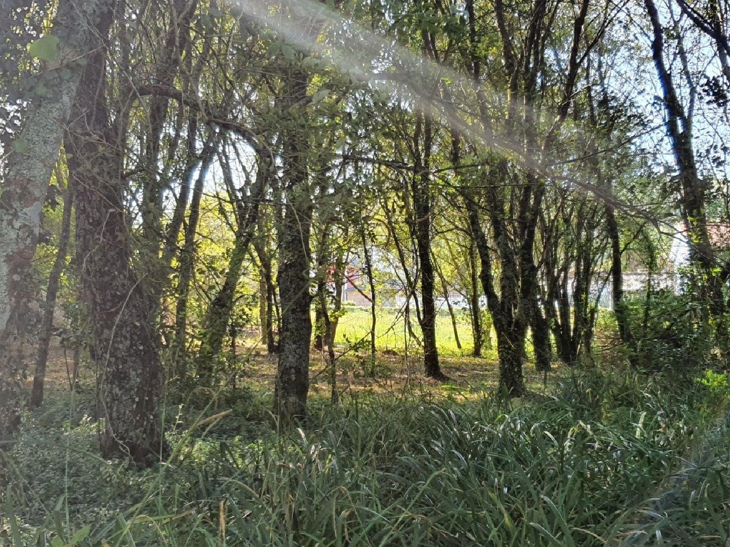 for sale plot Narón Ferrol 7