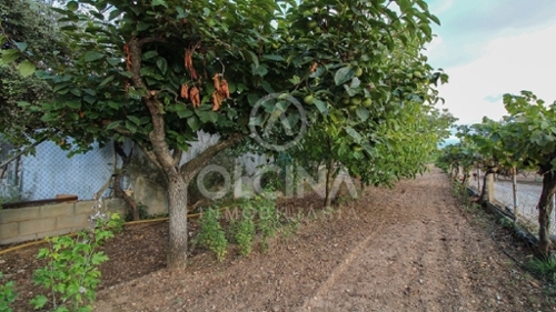 Onil Alcoia tomt foto 6248777