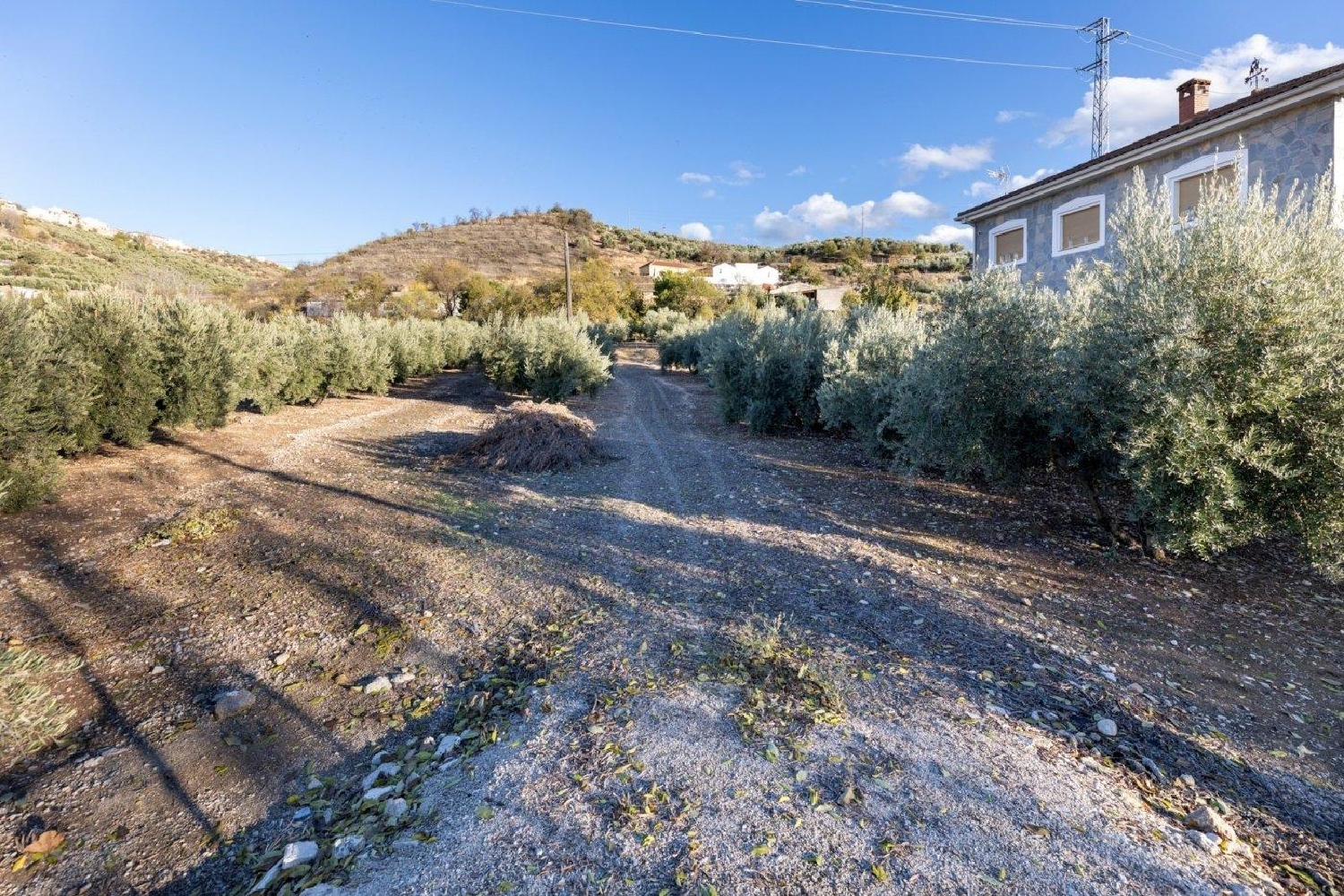  till salu tomt Venta De Andar Montes (Los) 8