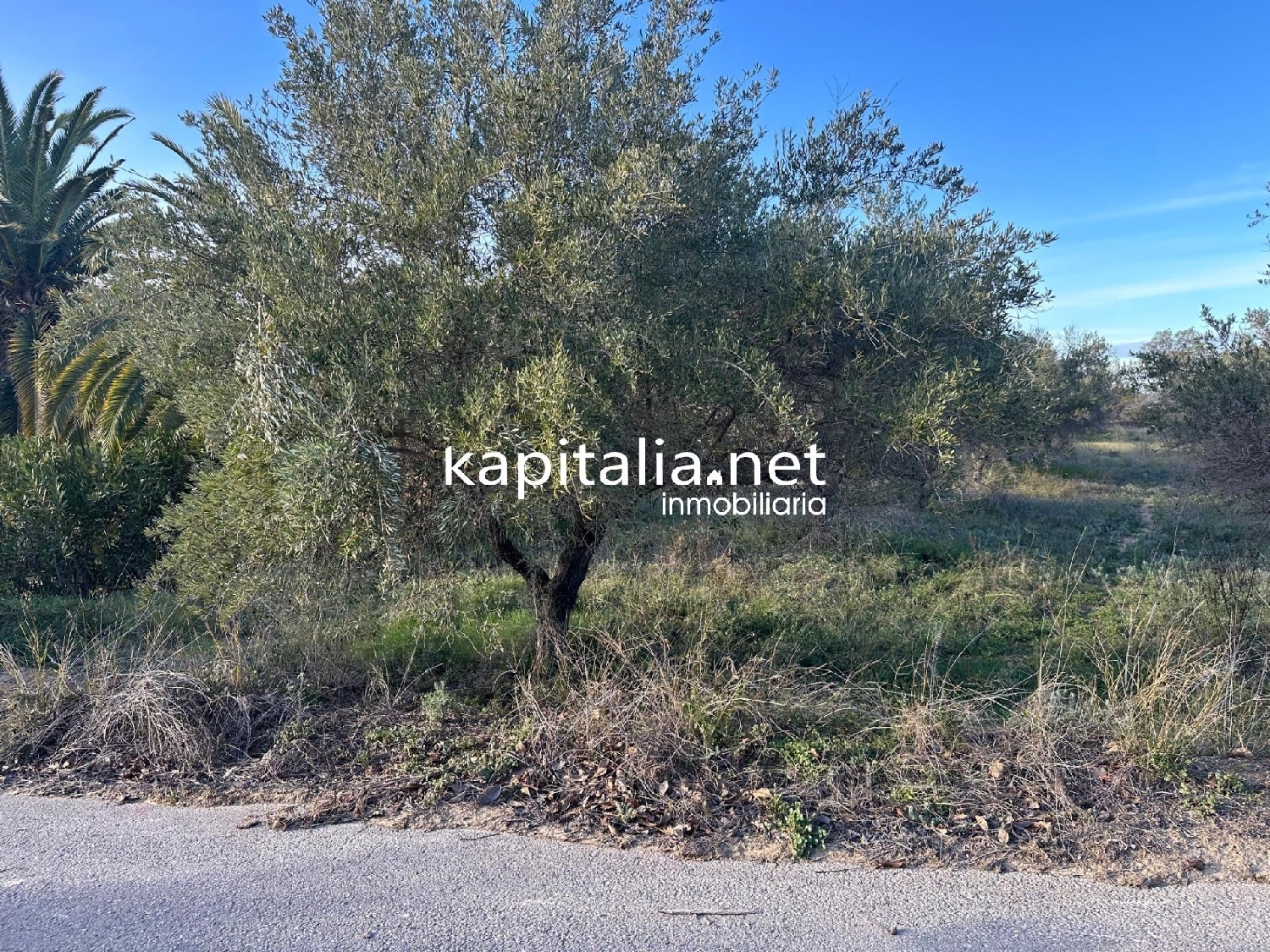 for sale plot Urbanitzacio El Pilar Vall D'albaida 3