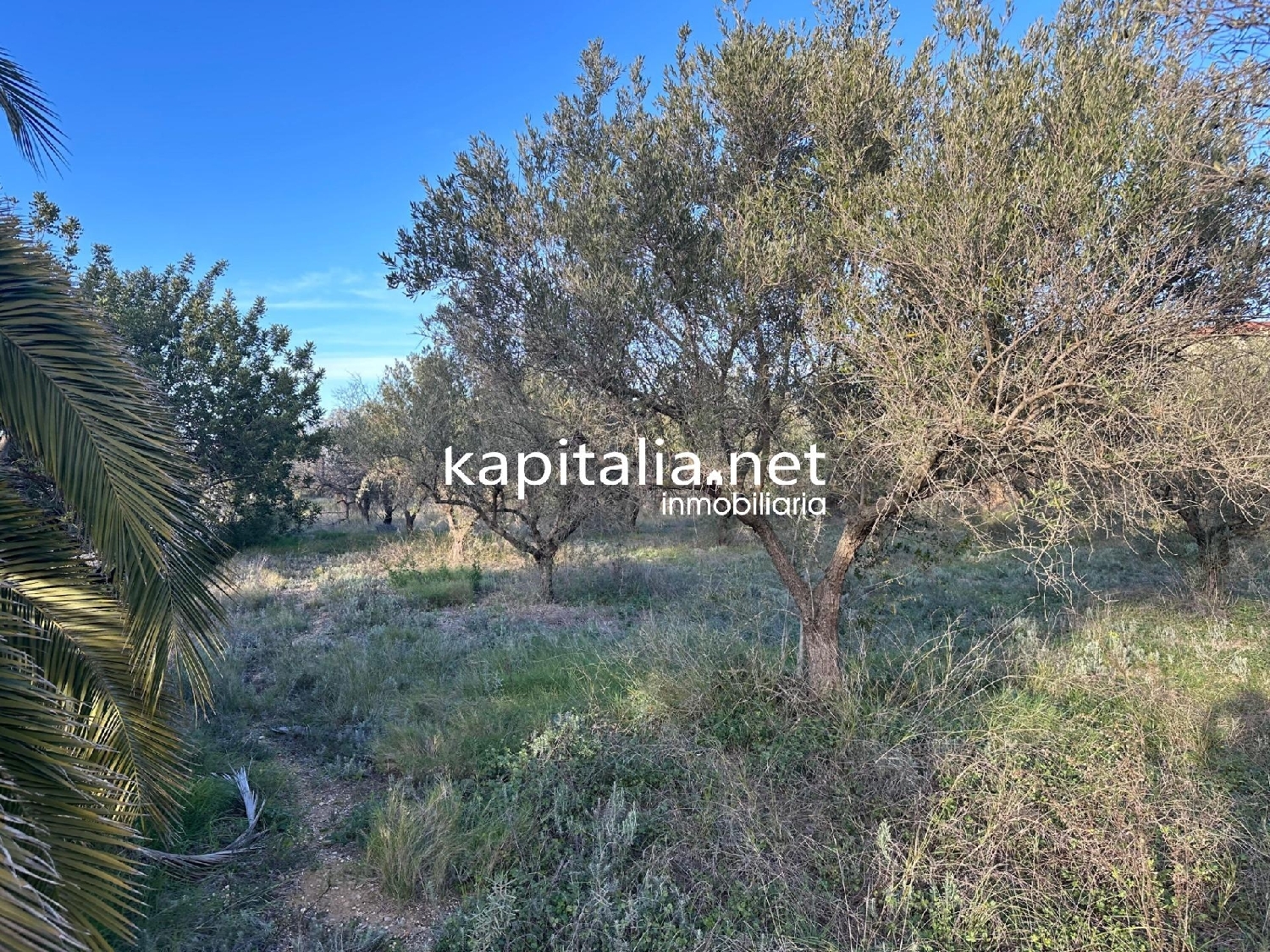 for sale plot Urbanitzacio El Pilar Vall D'albaida 2