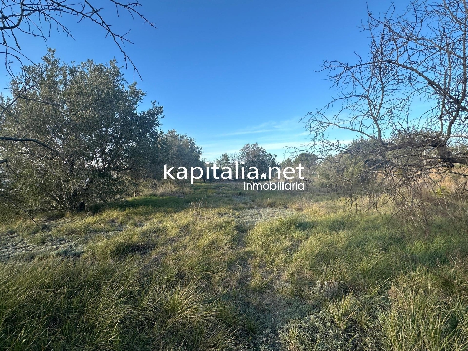  for sale plot Urbanitzacio El Pilar Vall D'albaida 8