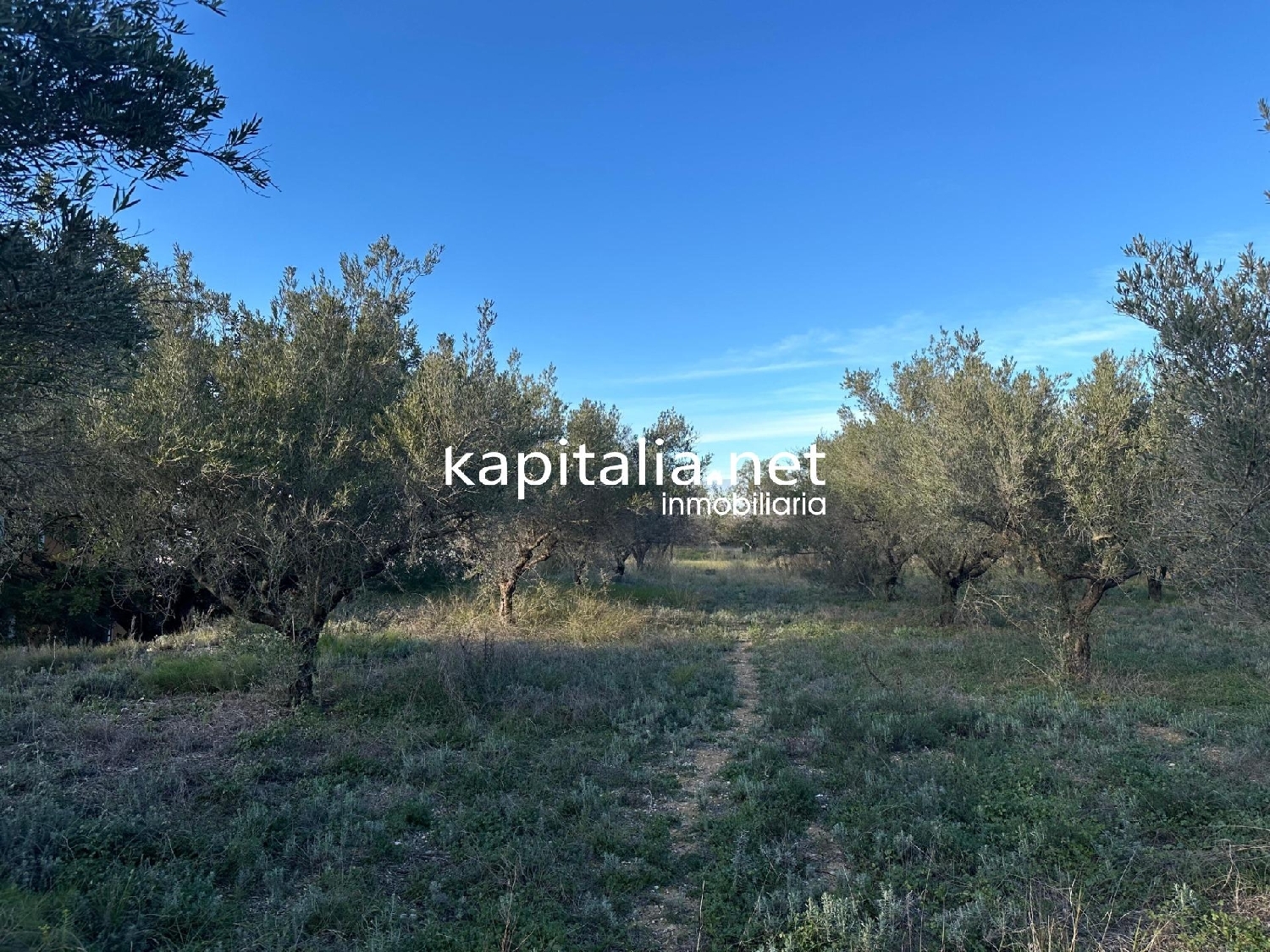  for sale plot Urbanitzacio El Pilar Vall D'albaida 5