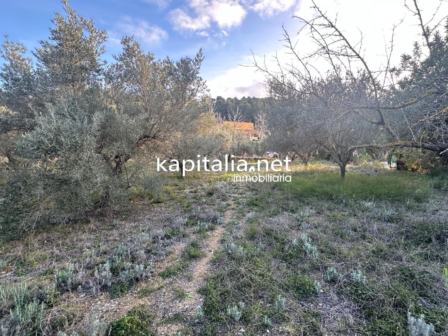  for sale plot Urbanitzacio El Pilar Vall D'albaida 6