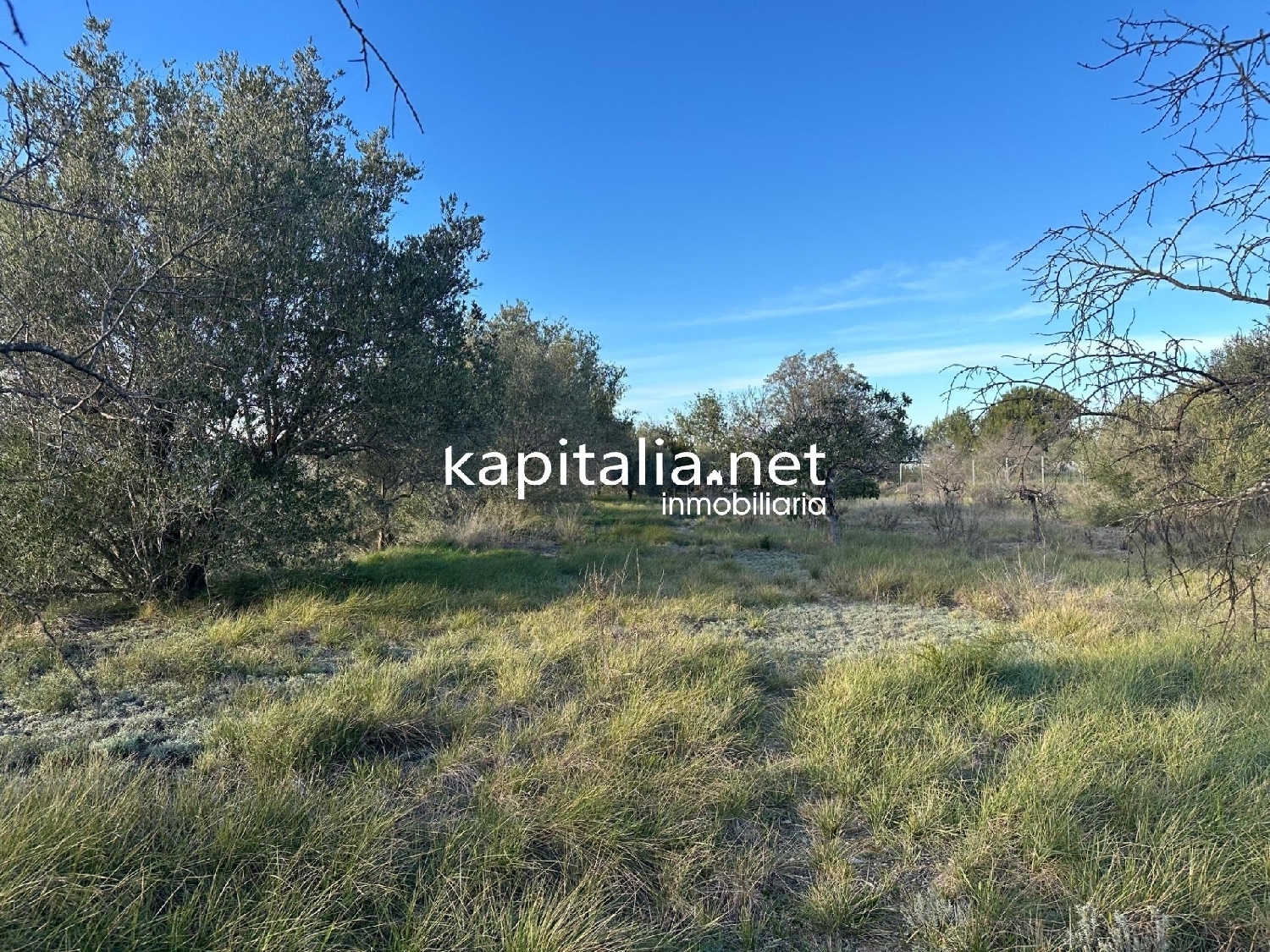  for sale plot Urbanitzacio El Pilar Vall D'albaida 1