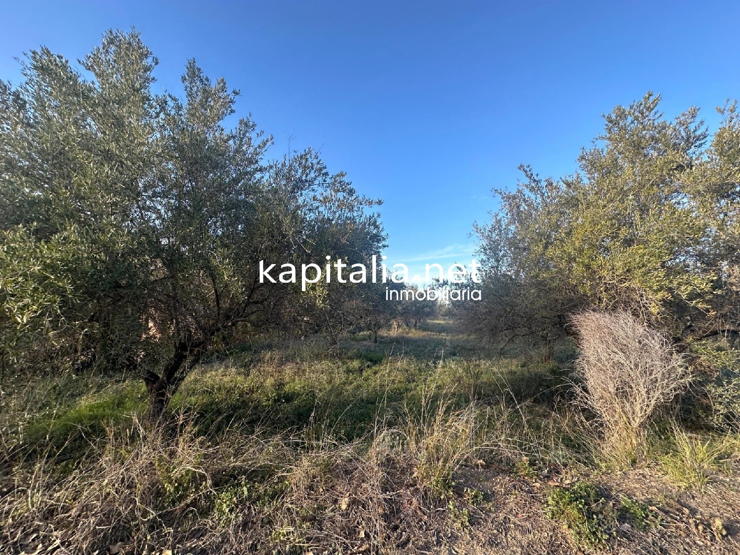  for sale plot Urbanitzacio El Pilar Vall D'albaida 4