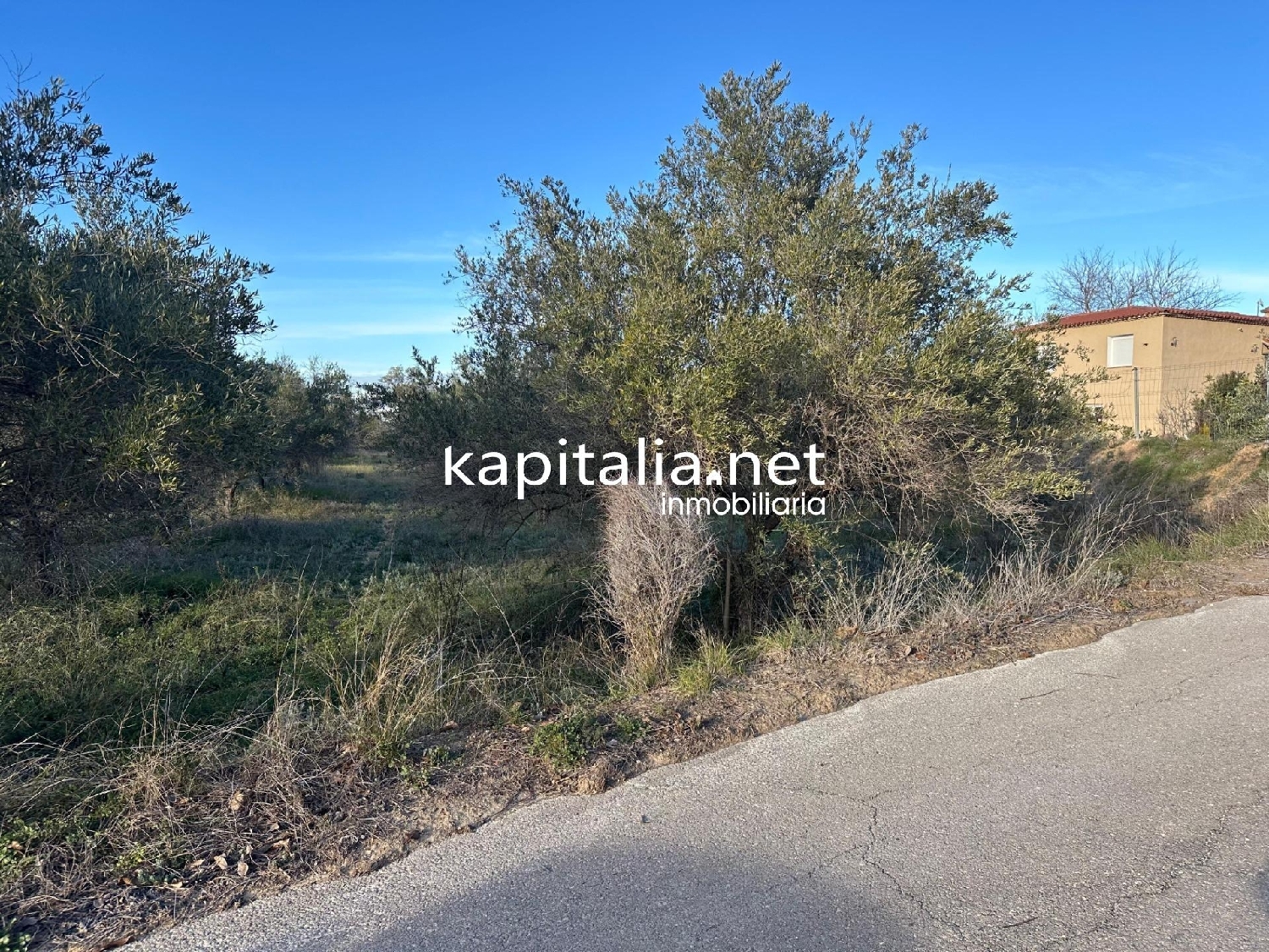  for sale plot Urbanitzacio El Pilar Vall D'albaida 7