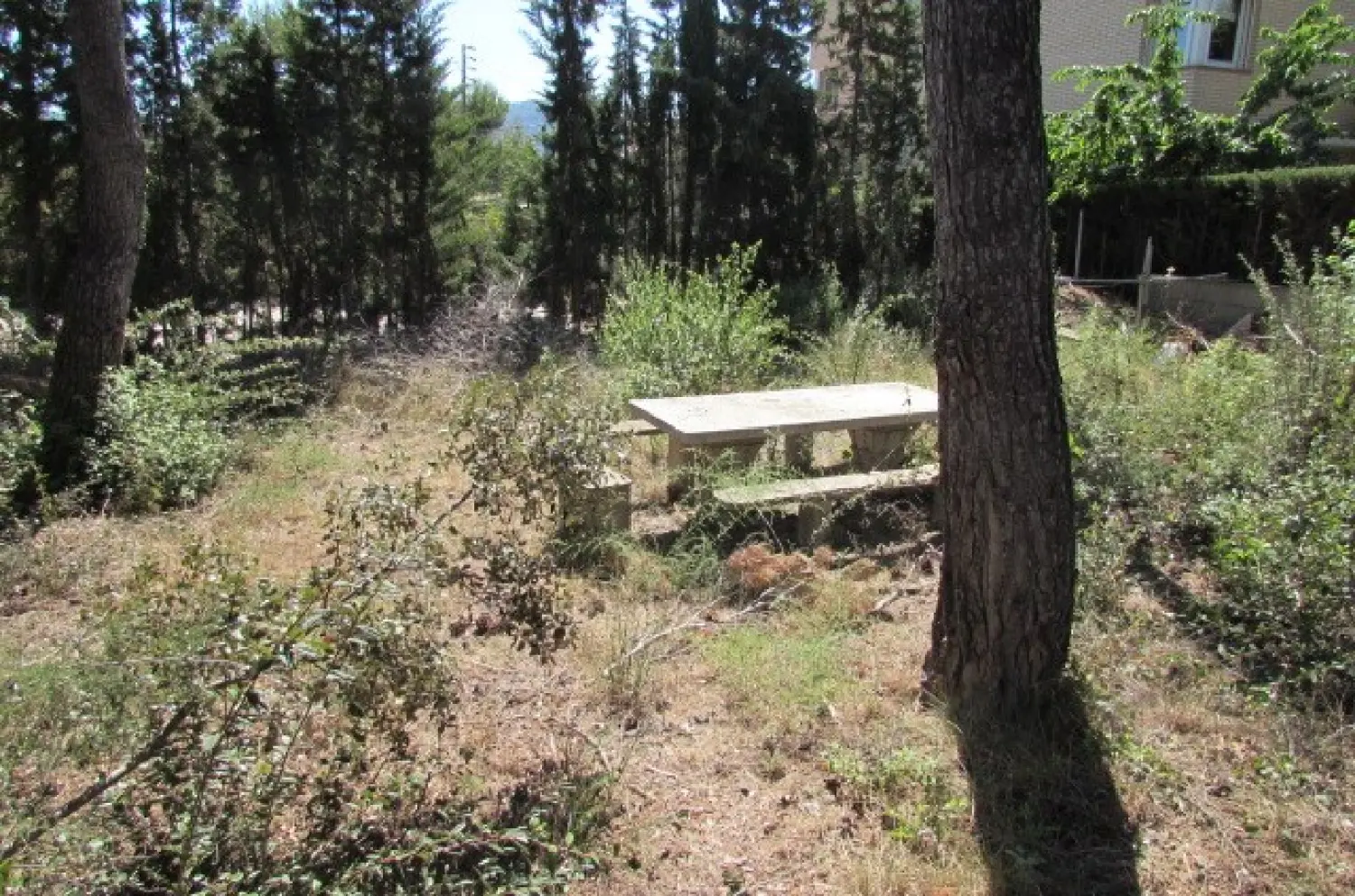  till salu tomt Les Garrigues Anoia 6