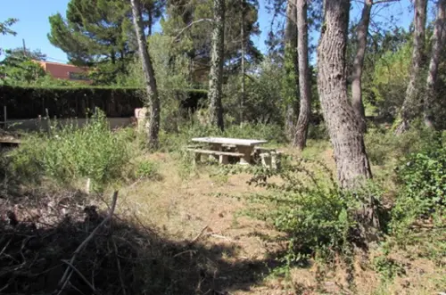 Les Garrigues Anoia tomt foto 6189765