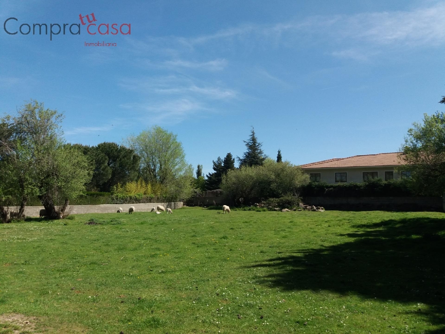  for sale plot Ortigosa Del Monte Segovia Sur 5