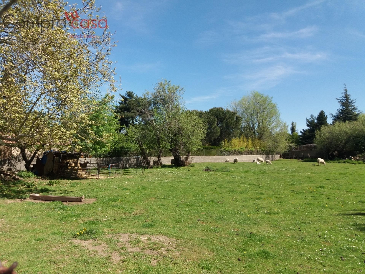  for sale plot Ortigosa Del Monte Segovia Sur 4