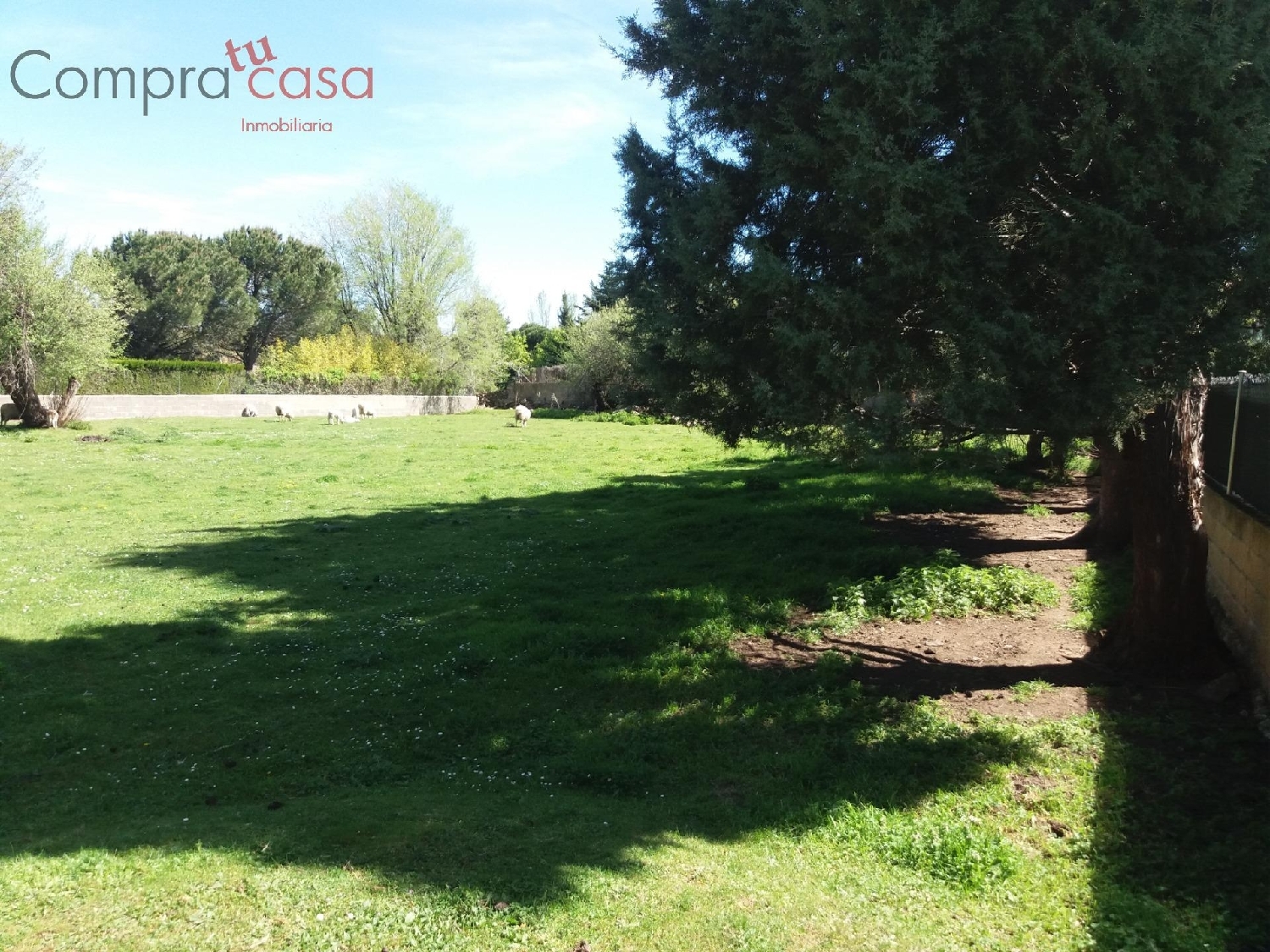 for sale plot Ortigosa Del Monte Segovia Sur 3