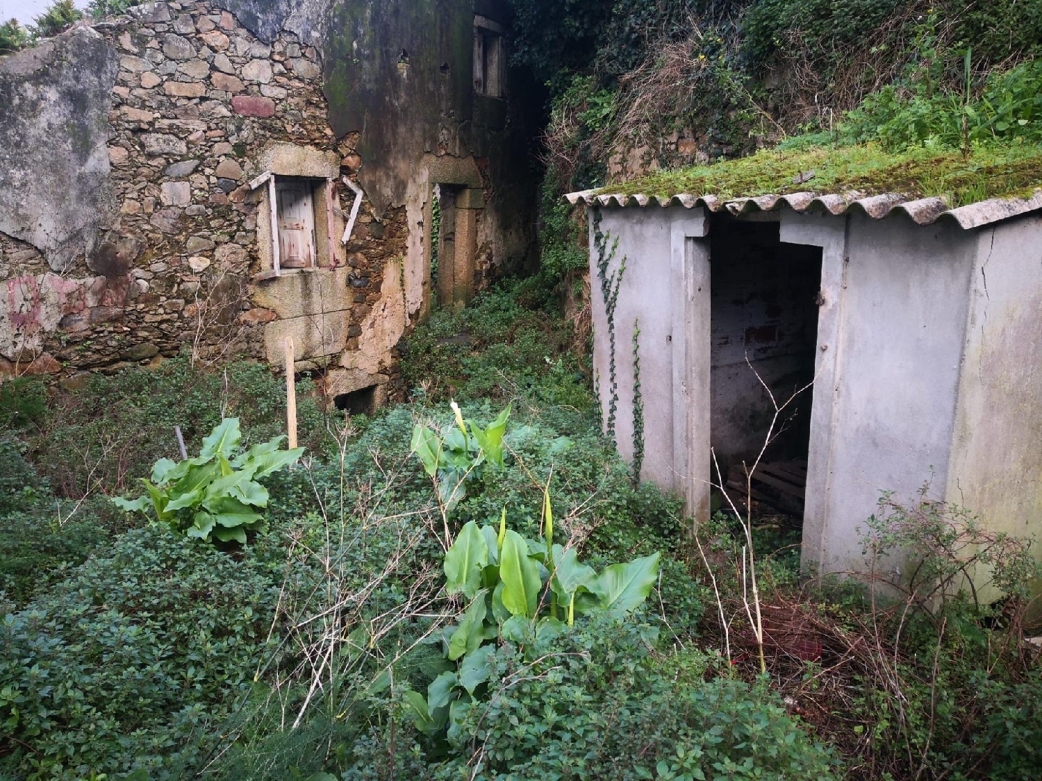  till salu tomt Os Barreiros Bergantiños 5