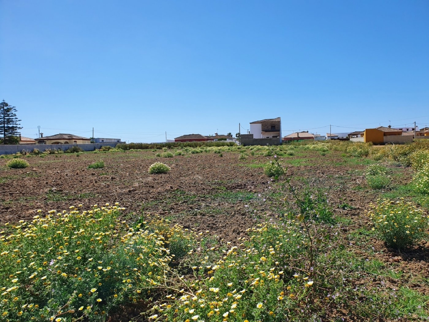 till salu tomt Pago De Melilla Bahía De Cádiz 2