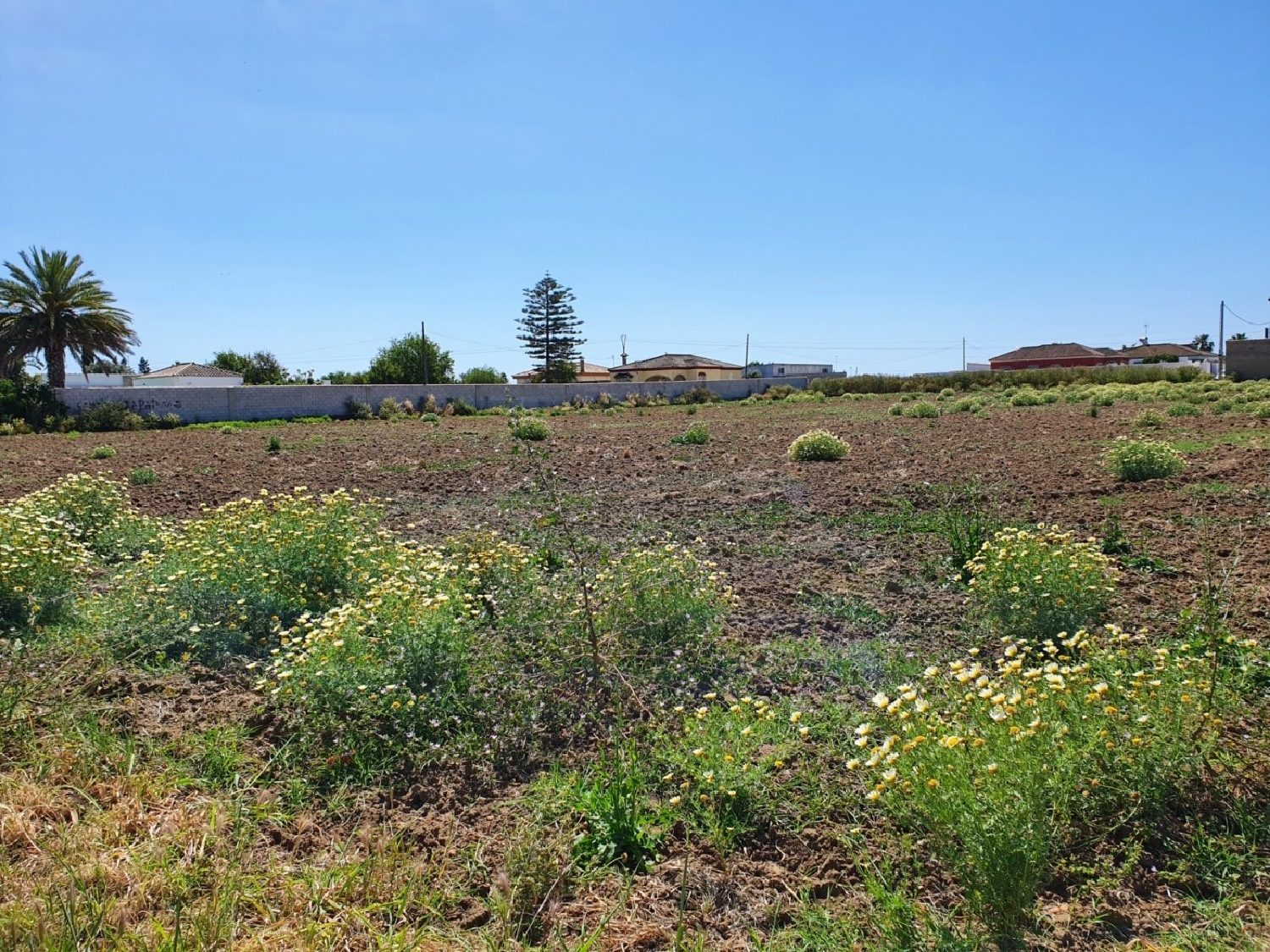  till salu tomt Pago De Melilla Bahía De Cádiz 4